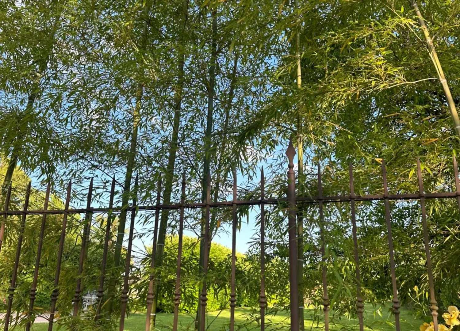 Agriturismo Corte Capiluppia 쿠르타토네