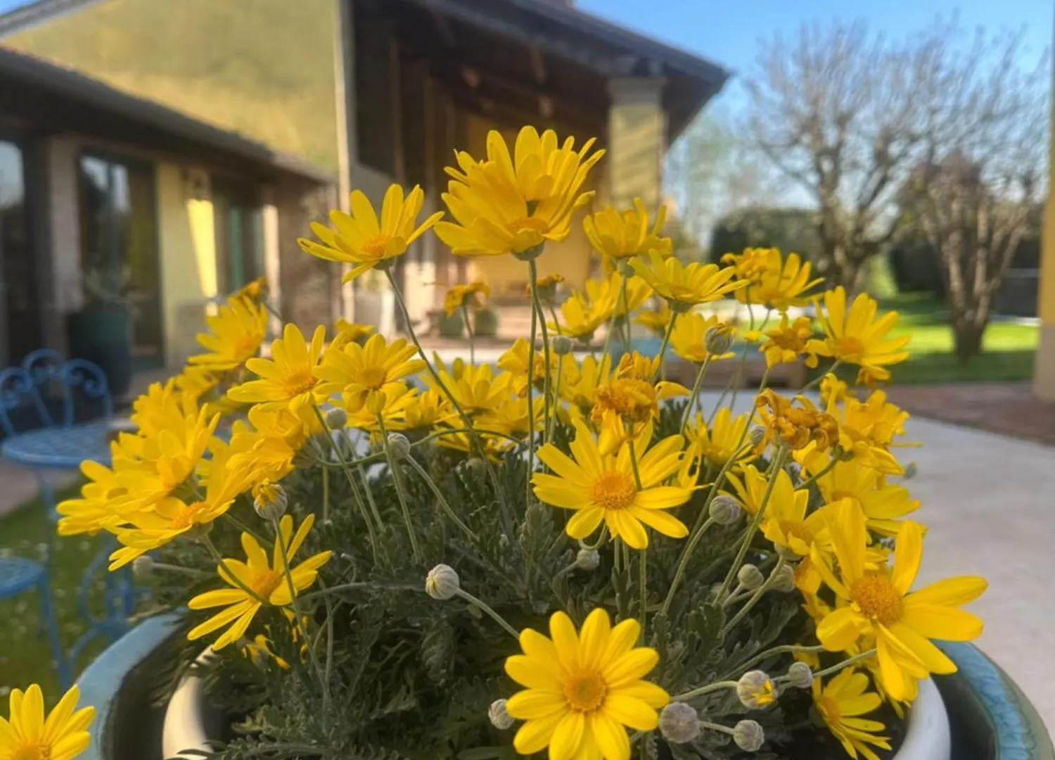 Agriturismo Corte Capiluppia Curtatone Farm stay